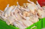 اما و اگرهای تاثیر توزیع اینترنتی گوشت و مرغ در کنترل بازار