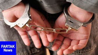 دستگیری خواننده پاپ به اتهام سرقت