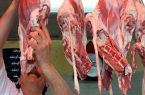 چرا گوشت گران شد و چرا قیمت آن پایین نمی‌آید؟