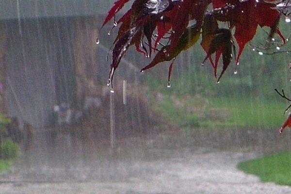ادامه بارندگی در بیشتر نقاط کشور