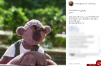 تسلیت رامبد جوان به جناب خان!
