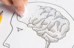 مغز چگونه خاطره بد را پاک می‌کند؟