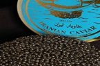 تولید غذای لوکس در کویر ایران