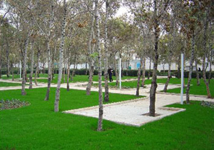 برای این کار از دولت پاداش بگیرید