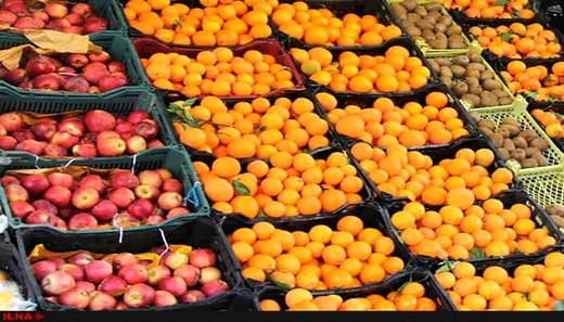لغو ممنوعیت صادرات سیب و پرتقال