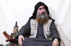محل اختفای «البغدادی» از زبان «دیلی تلگراف»