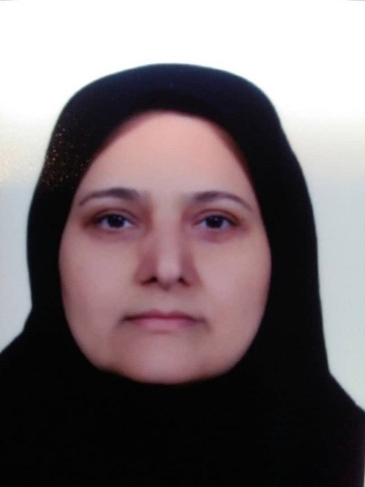 موش ها حریم خانه ها را شکستند