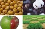 جلسات یواشکی درباره «تراریخت»