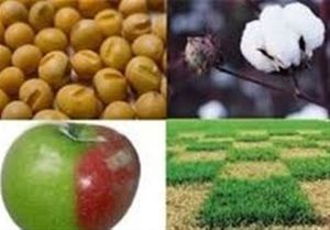 جلسات یواشکی درباره «تراریخت»