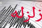سی‌سخت لرزید