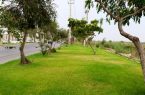 ایستگاه تحقیقاتی فضای سبز پایتخت راه اندازی می شود
