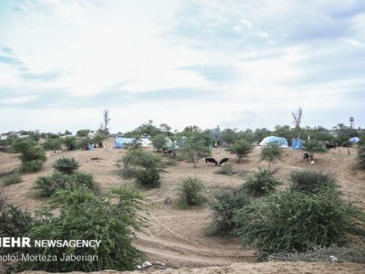 اسکان برخی سیل زدگان در گرمای ۴۴ درجه خوزستان کنار جاده