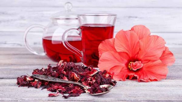 چای کیسه ای لاکچری+ عکس