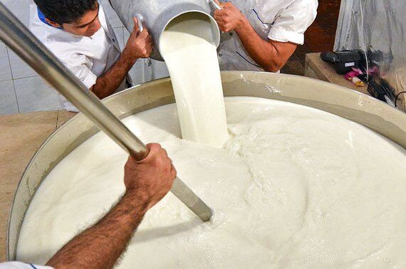 رعایت نکردن بهداشت در مصرف لبنیات سنتی موجب ابتلا به بیماری های واگیر می شود