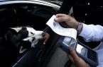 برخورد جدی پلیس با حمل سگ درون خودرو برخورد جدی پلیس با حمل سگ درون خودرو