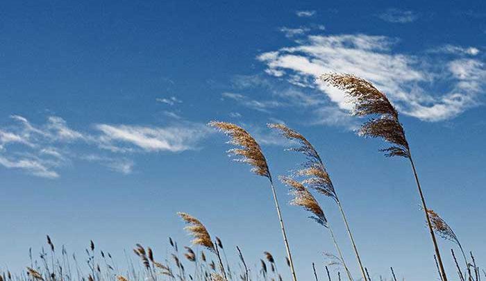 آسمان تهران در بعدازظهر با وزش باد همراه است