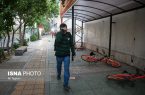 وزش باد نسبتا شدید در تهران