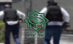 نمایندگان مجلس پیرو «انهدام شبکه جاسوسی آمریکا در ایران» از وزارت اطلاعات تقدیر کردند