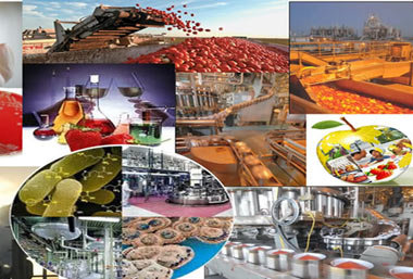 صنایع غذایی مازندران حال و روز خوبی ندارد