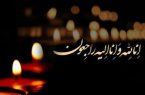 پیام تسلیت مرکز آمار و فناوری اطلاعات قوه قضاییه به مناسبت درگذشت والده حجت الاسلام شهریاری
