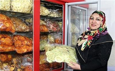 سهم مشاغل خانگی از طرح‌های اشتغال روستایی