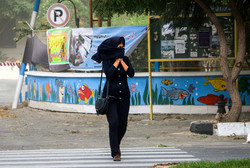بادی شدید در تهران است