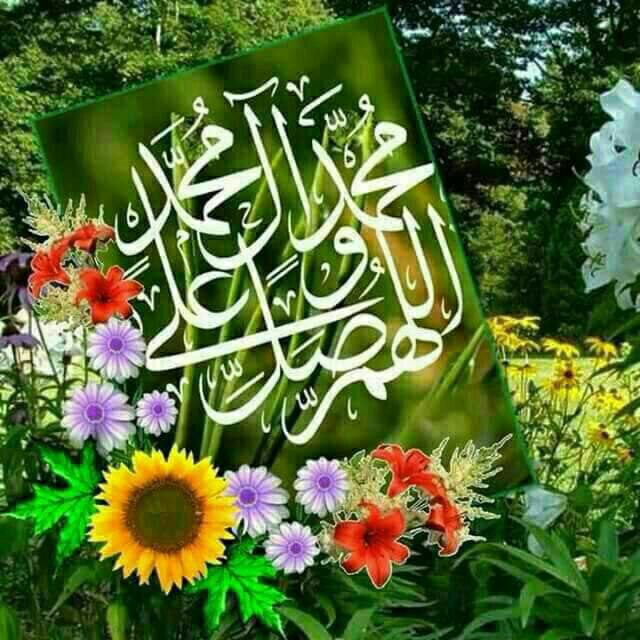اهمیت روز عرفه از منظر پیامبر (ص)