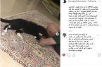 غش و ضعف سلبریتیها برای مرگ یک گربه غش و ضعف سلبریتیها برای مرگ یک گربه