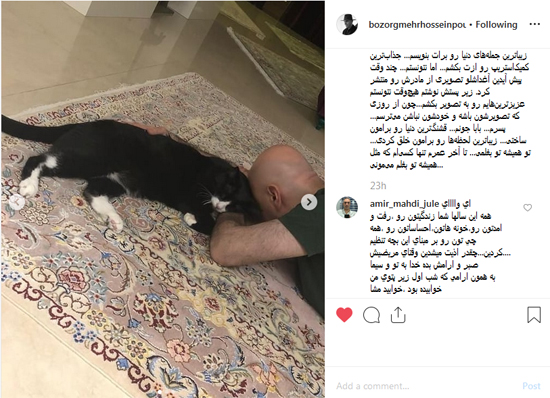 غش و ضعف سلبریتیها برای مرگ یک گربه