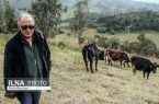 «کیارستمی و عصای گمشده» نامزد ۴ جایزه شد «کیارستمی و عصای گمشده» نامزد ۴ جایزه شد