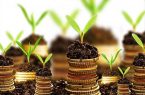 سقف وام‌ های اشتغال ۵۰ میلیون تومان است