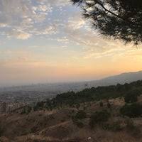 فضای سبز در ارتفاعات شهید محلاتی در تهران آتش گرفت