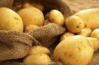 سیب‌زمینی، خرما و روغن‌موتور،گرانترین ها