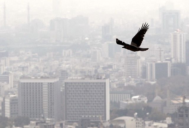 تهران، پاییز، وارونگی، آلودگی، تنفس، بحران