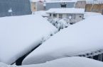 فرمانداران رودسر و لنگرود: هنوز برق نداریم فرمانداران رودسر و لنگرود: هنوز برق نداریم