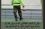 واکنش به کشتن کبوتران در دربی تهران