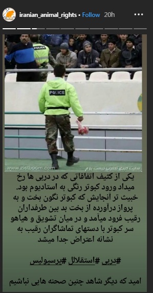 واکنش به کشتن کبوتران در دربی تهران