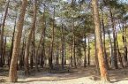 تعطیلی ۴ بوستان جنگلی تهران تا ١۵ اردیبهشت