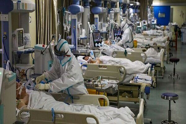 روند بستریهای کرونایی در استان بوشهر همچنان صعودی است