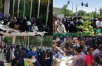 کارنامه سبزها به دنبال پاسخی شفاف می گردند