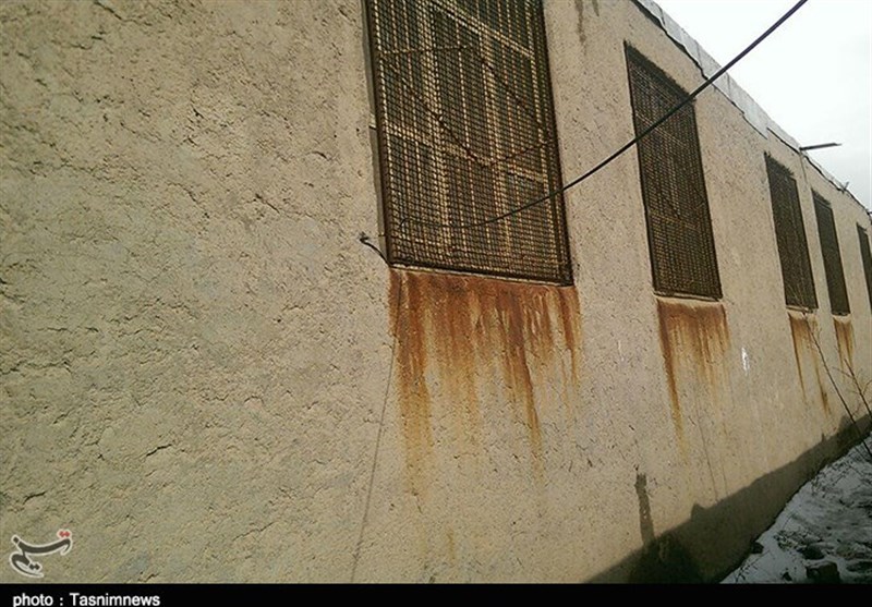 ۱۵میلیون یورو اعتبار برای حذف “مدارس کانکسی” اختصاص مییابد