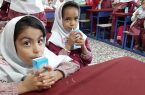 ضرورت اجرای طرح شیر مدارس با مشارکت بخش خصوصی