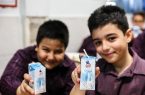 تأمین “پاکت شیر” چالش توزیع شیر در مدارس کشور!