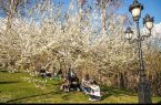 دهکده فرهنگی بسیج دانش‌آموزی در پارک‌های بانوان ایجاد می‌شود