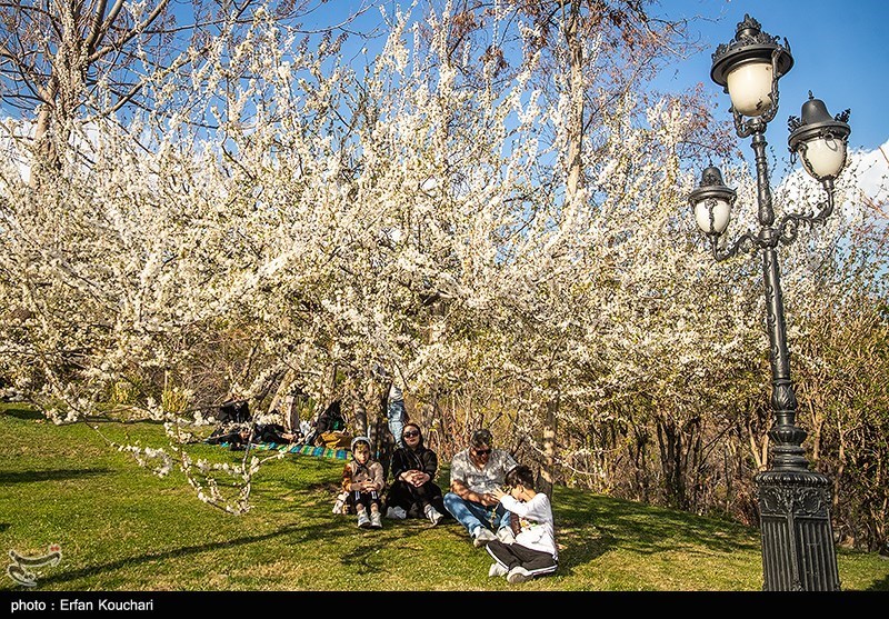 دهکده فرهنگی بسیج دانش‌آموزی در پارک‌های بانوان ایجاد می‌شود