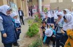 ایجاد ۳۴۰۰ نهالستان در مدارس؛ جلوه دیگری از اجرای سند
تحول