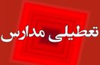 چرا اروپا چت جی پی تی را در مدارس محدود کرد