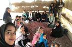 آغاز فعالیت‌های تابستانی دانش آموزی با ثبت نام در
«نورینو»