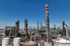 دستور فوری وزیر کار برای مهارت‌آموزی جوانان بوشهری | تشکیل کنسرسیوم پتروشیمی‌ها برای اشتغال‌زایی