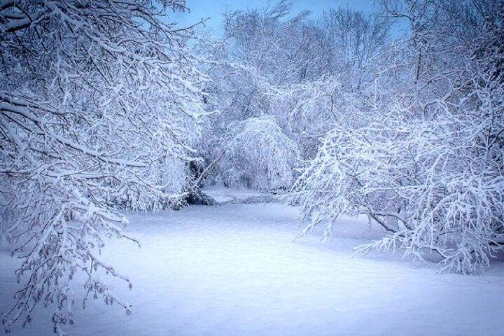 موج شدید سرما و بارش در راه است/ هشدار سیل برای جنوب شرق و برف برای نیمه غربی کشور